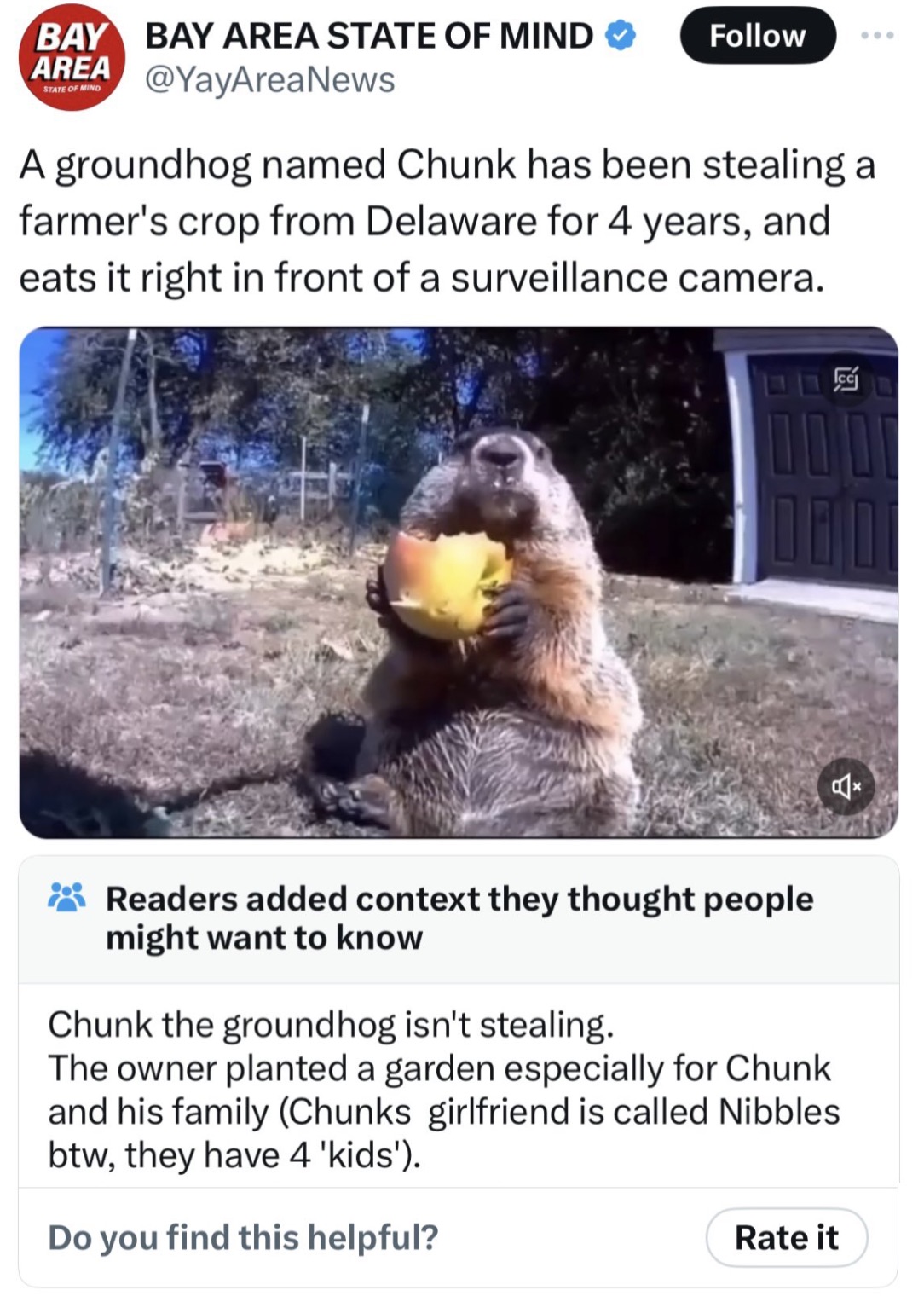 golden eagle - Bay Area State Of Mind Bay Area State Of Mind A groundhog named Chunk has been stealing a farmer's crop from Delaware for 4 years, and eats it right in front of a surveillance camera. Loo Readers added context they thought people might want